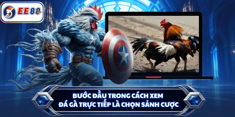 Bước đầu trong cách xem đá gà trực tiếp là chọn sảnh cược