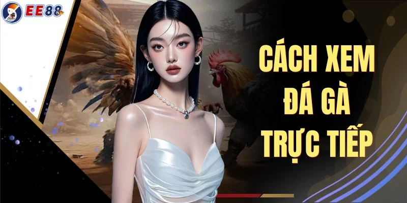 Cách Xem Đá Gà Trực Tiếp 100 Trận/Ngày Chất Lượng HD Mượt Mà