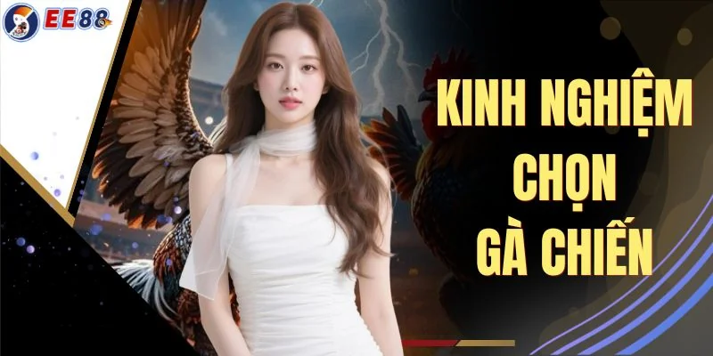 Kinh Nghiệm Chọn Gà Chiến Chuẩn Cao Thủ - Xem Tướng & Vảy