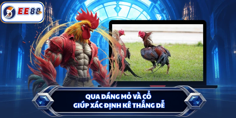 Qua dáng mỏ và cổ giúp xác định kê thắng dễ