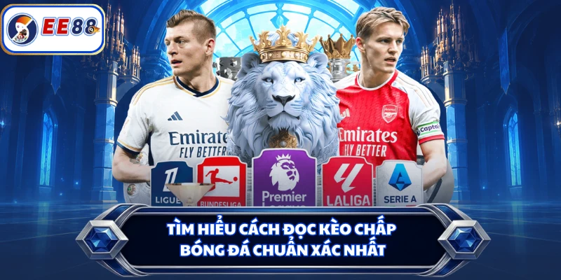 Tìm hiểu cách đọc kèo chấp bóng đá chuẩn xác nhất
