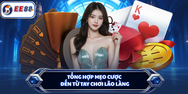 Tổng hợp mẹo cược đến từ tay chơi lão làng
